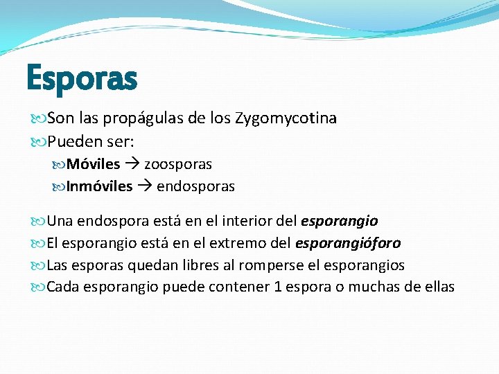 Esporas Son las propágulas de los Zygomycotina Pueden ser: Móviles zoosporas Inmóviles endosporas Una Esporas Son las propágulas de los Zygomycotina Pueden ser: Móviles zoosporas Inmóviles endosporas Una