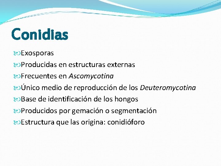 Conidias Exosporas Producidas en estructuras externas Frecuentes en Ascomycotina Único medio de reproducción de Conidias Exosporas Producidas en estructuras externas Frecuentes en Ascomycotina Único medio de reproducción de