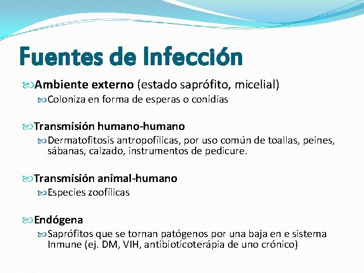 Fuentes de Infección Ambiente externo (estado saprófito, micelial) Coloniza en forma de esperas o Fuentes de Infección Ambiente externo (estado saprófito, micelial) Coloniza en forma de esperas o