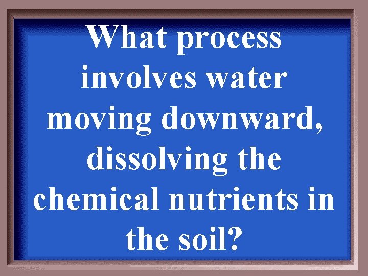 What process involves water moving downward, dissolving the chemical nutrients in the soil? 