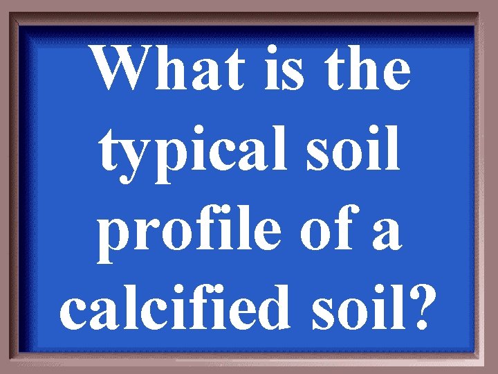 What is the typical soil profile of a calcified soil? 