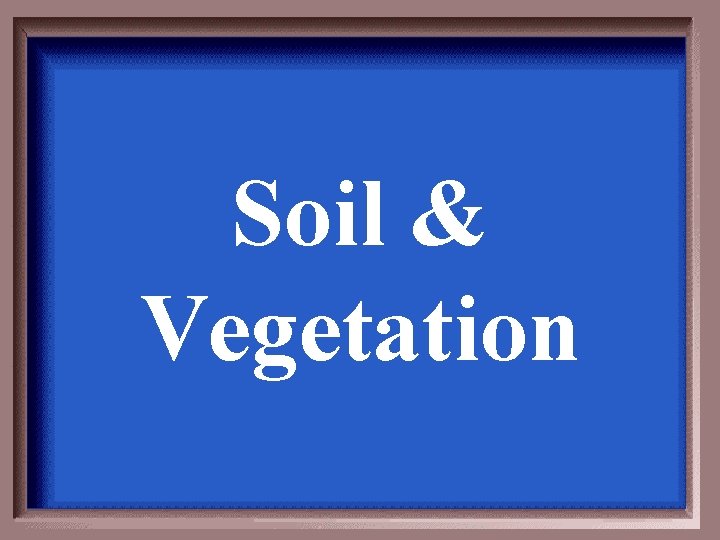 Soil & Vegetation 
