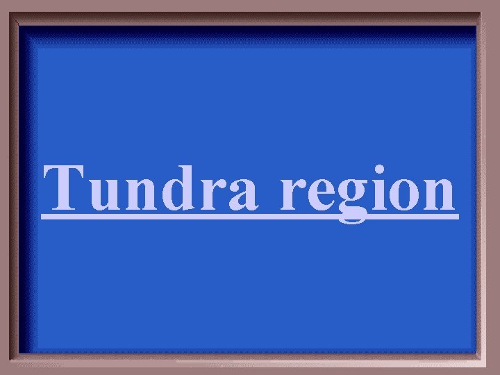 Tundra region 