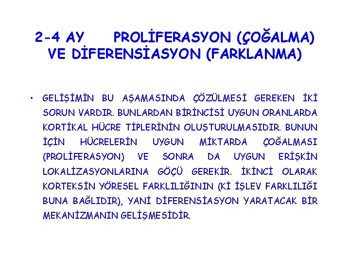 2 -4 AY PROLİFERASYON (ÇOĞALMA) VE DİFERENSİASYON (FARKLANMA) • GELİŞİMİN BU AŞAMASINDA ÇÖZÜLMESİ GEREKEN