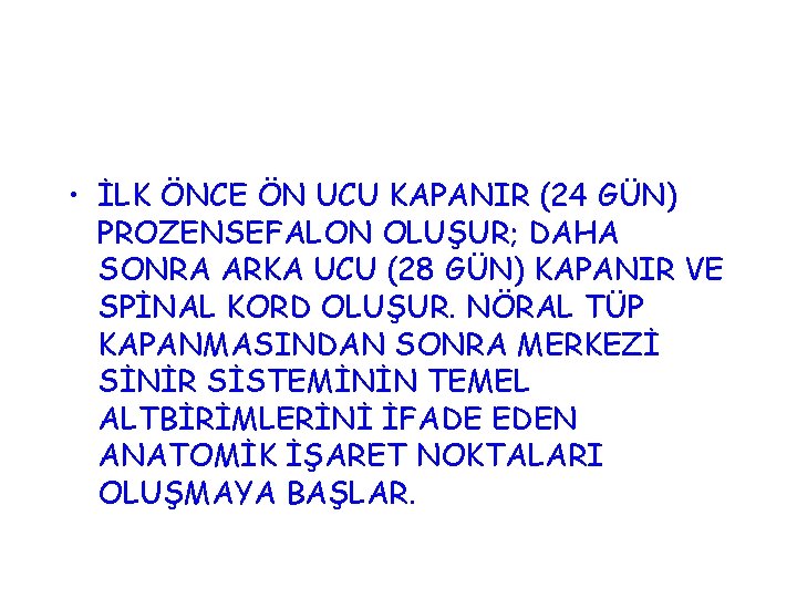  • İLK ÖNCE ÖN UCU KAPANIR (24 GÜN) PROZENSEFALON OLUŞUR; DAHA SONRA ARKA