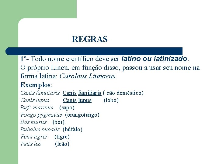 REGRAS 1º- Todo nome científico deve ser latino ou latinizado. O próprio Lineu, em