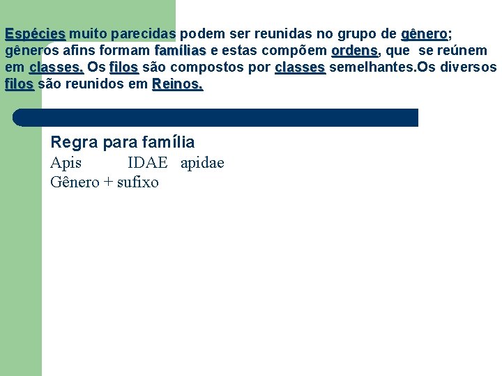 Espécies muito parecidas podem ser reunidas no grupo de gênero; gêneros afins formam famílias