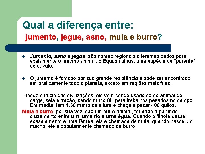 Qual a diferença entre: jumento, jegue, asno, mula e burro? l Jumento, asno e