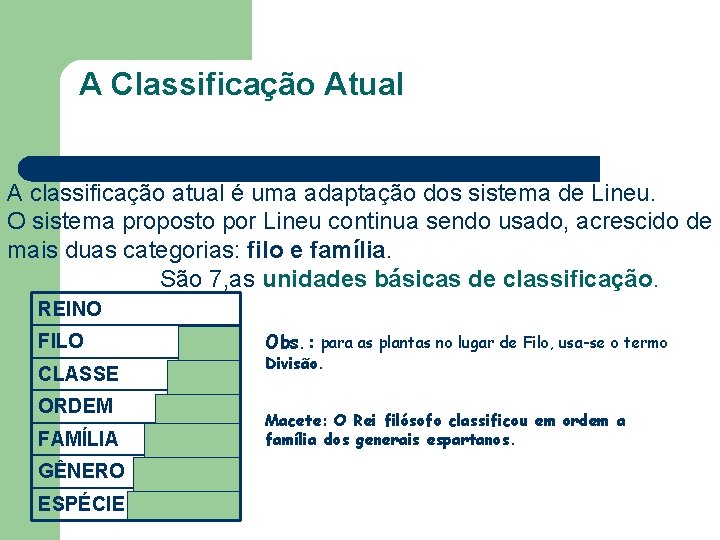 A Classificação Atual A classificação atual é uma adaptação dos sistema de Lineu. O