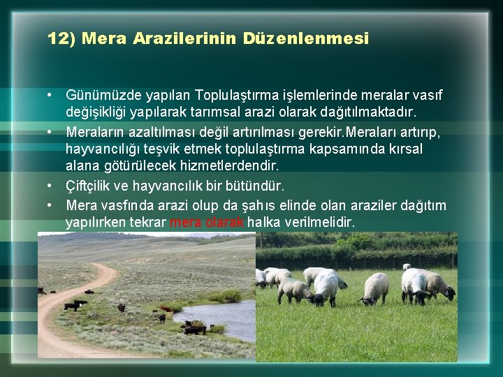 12) Mera Arazilerinin Düzenlenmesi • Günümüzde yapılan Toplulaştırma işlemlerinde meralar vasıf değişikliği yapılarak tarımsal