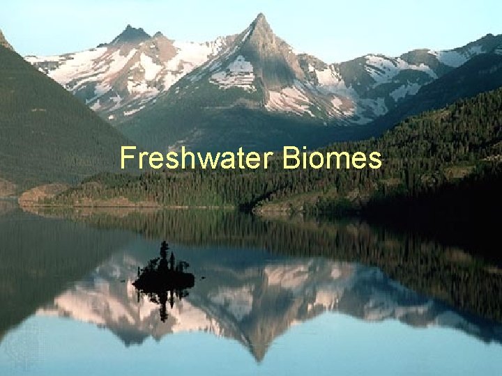 Freshwater Biomes 