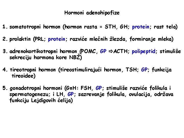 Hormoni adenohipofize 1. somatotropni hormon (hormon rasta = STH, GH; protein; rast tela) 2.