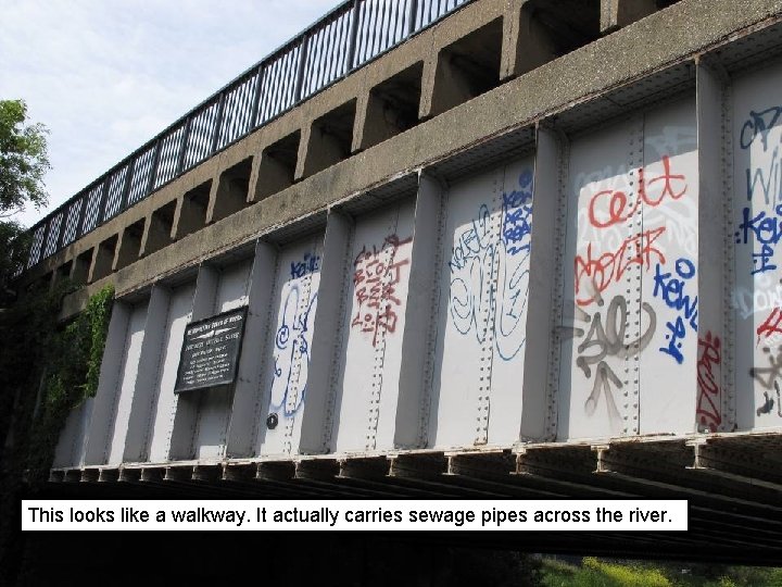 This looks like a walkway. It actually carries sewage pipes across the river. 