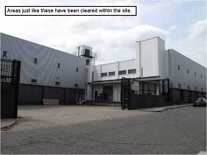 Areas just like these have been cleared within the site. 