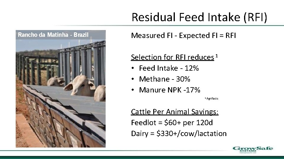 Residual Feed Intake (RFI) Rancho da Matinha - Brazil Measured FI - Expected FI