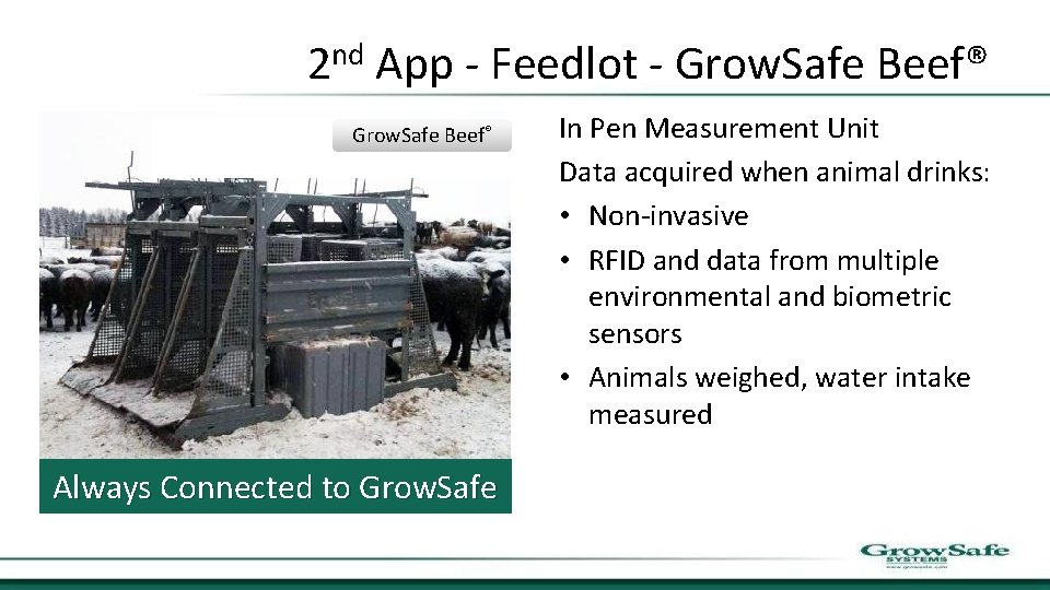 2 nd App - Feedlot - Grow. Safe Beef® Always Connected to Grow. Safe