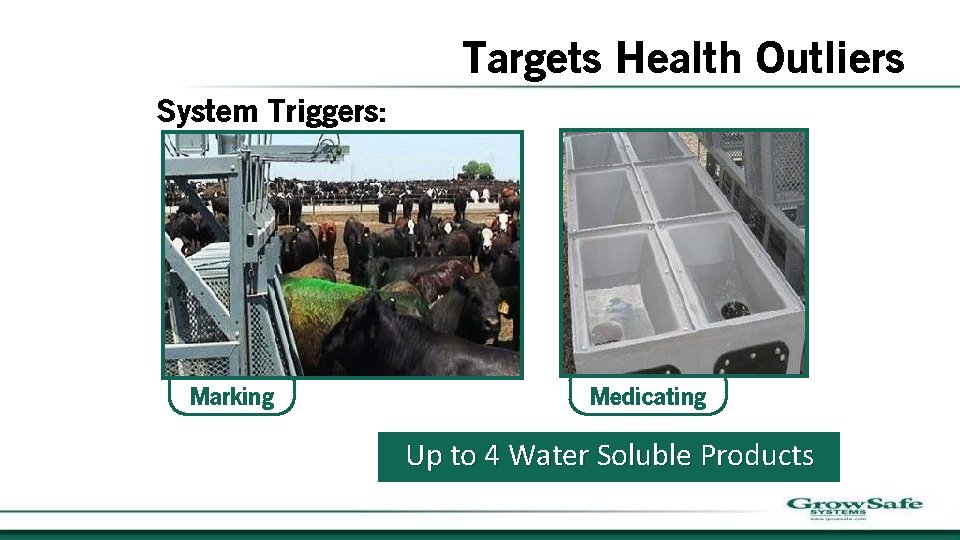 Targets Health Outliers System Triggers: Marking Medicating Up to 4 Water Soluble Products 