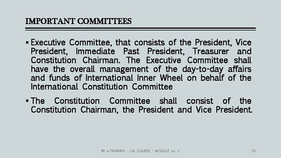 IMPORTANT COMMITTEES § Executive Committee, that consists of the President, Vice President, Immediate Past