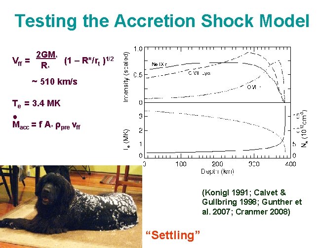 Testing the Accretion Shock Model Vff = 2 GM* (1 – R*/rt )1/2 R*