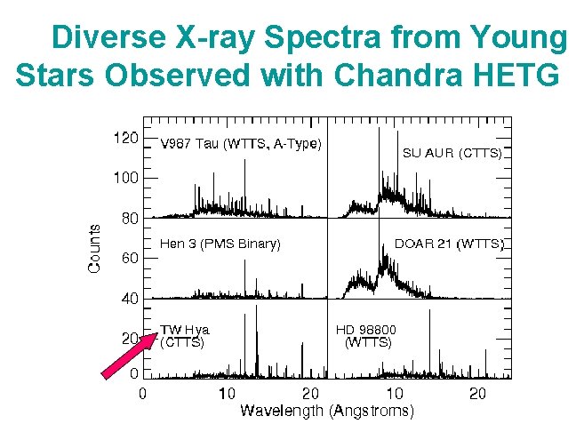 Diverse X-ray Spectra from Young Stars Observed with Chandra HETG 