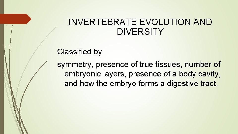 INVERTEBRATE EVOLUTION AND DIVERSITY Classified by symmetry, presence of true tissues, number of embryonic