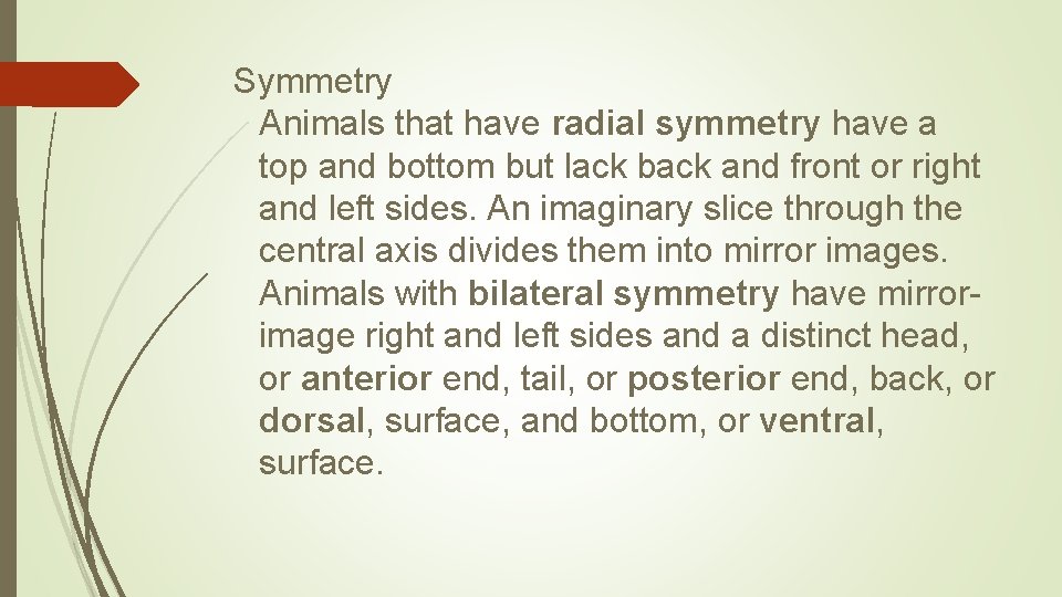 Symmetry Animals that have radial symmetry have a top and bottom but lack back