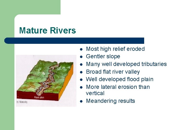 Mature Rivers l l l l Most high relief eroded Gentler slope Many well