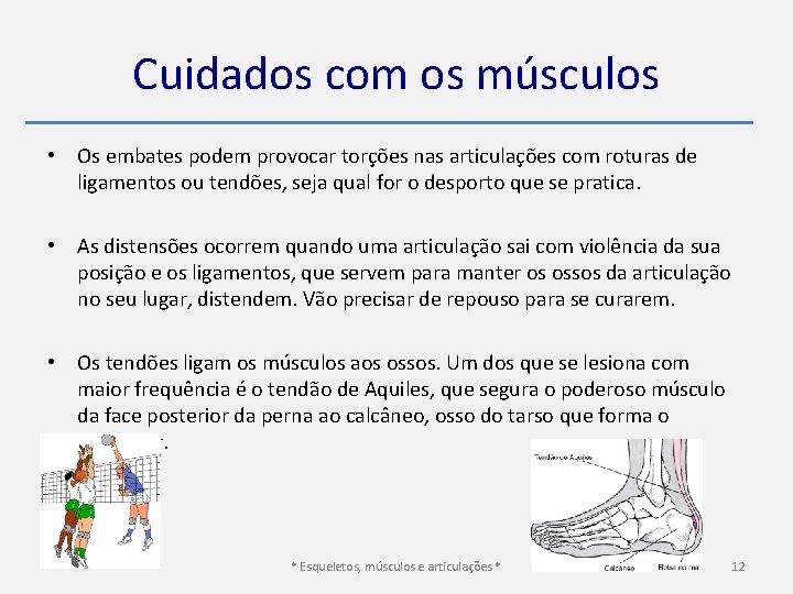 Cuidados com os músculos • Os embates podem provocar torções nas articulações com roturas