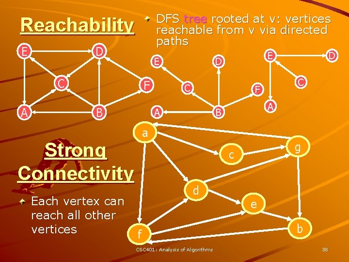 DFS tree rooted at v: vertices reachable from v via directed paths Reachability E