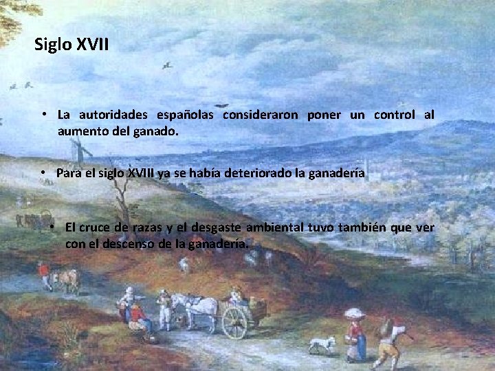 Siglo XVII • La autoridades españolas consideraron poner un control al aumento del ganado.