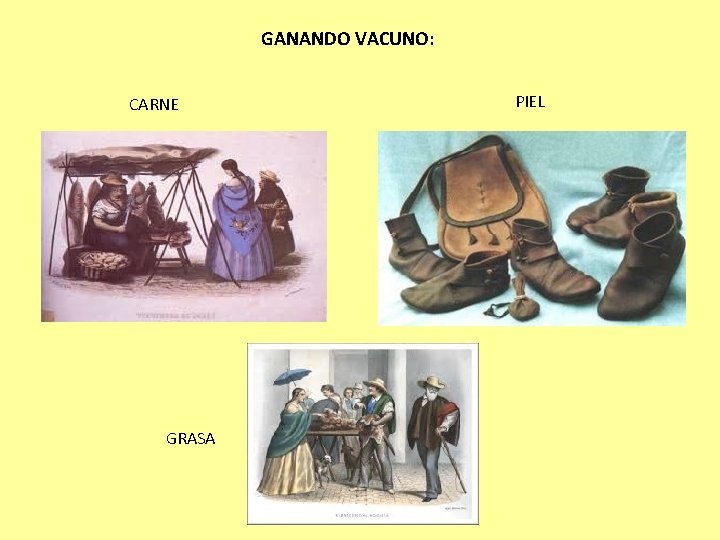 GANANDO VACUNO: CARNE GRASA PIEL 