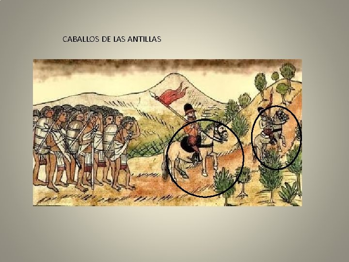 CABALLOS DE LAS ANTILLAS 