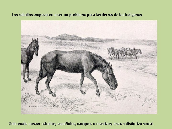Los caballos empezaron a ser un problema para las tierras de los indígenas. Solo