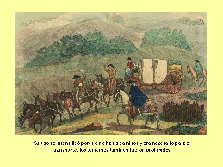 Su uso se intensificó porque no había caminos y era necesario para el transporte,