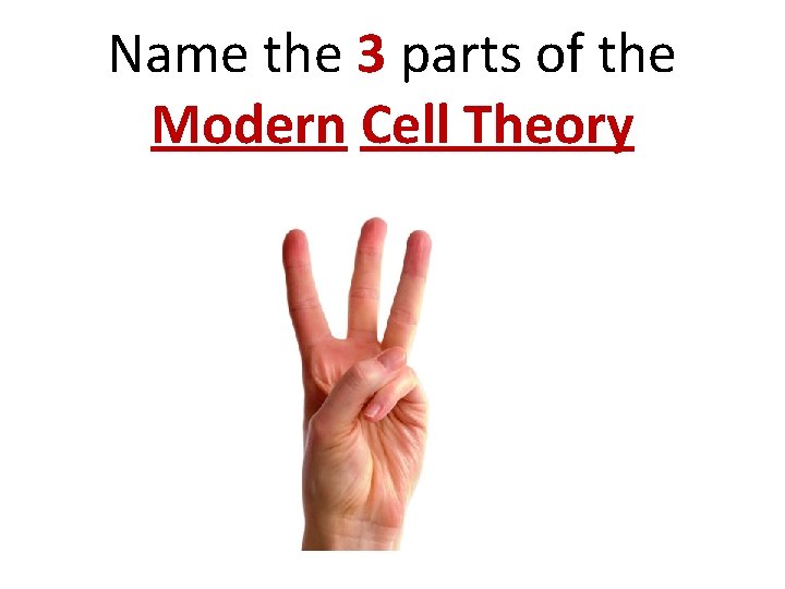 Name the 3 parts of the Modern Cell Theory 