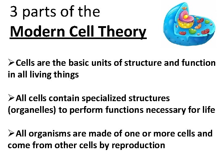3 parts of the Modern Cell Theory ØCells are the basic units of structure