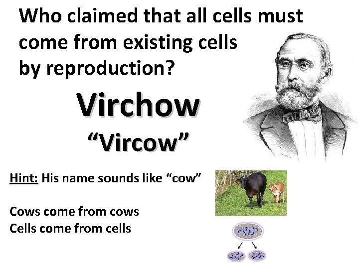 Who claimed that all cells must come from existing cells by reproduction? Virchow “Vircow”