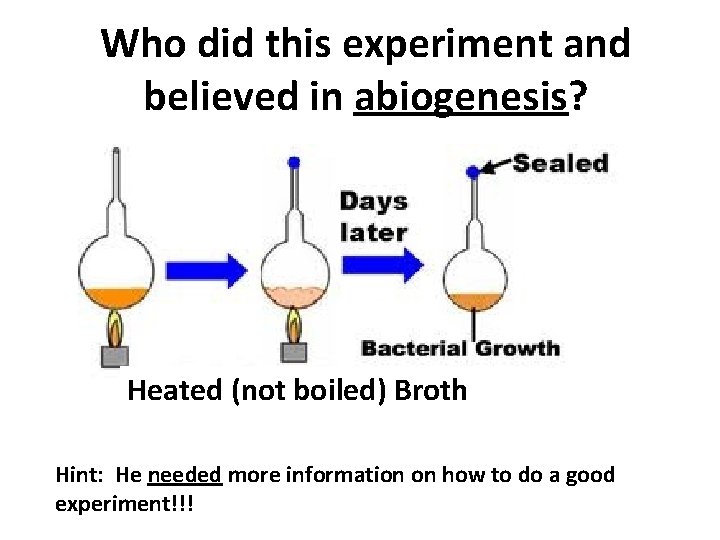 Who did this experiment and believed in abiogenesis? Heated (not boiled) Broth Hint: He