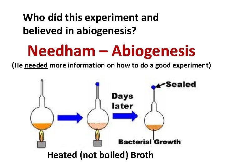 Who did this experiment and believed in abiogenesis? Needham – Abiogenesis (He needed more