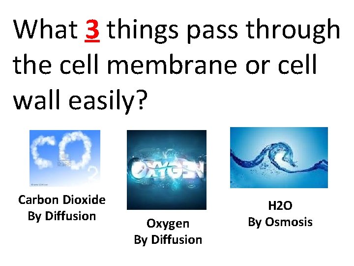 What 3 things pass through the cell membrane or cell wall easily? Carbon Dioxide