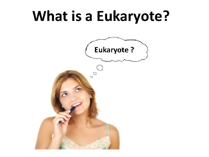What is a Eukaryote? Eukaryote ? 