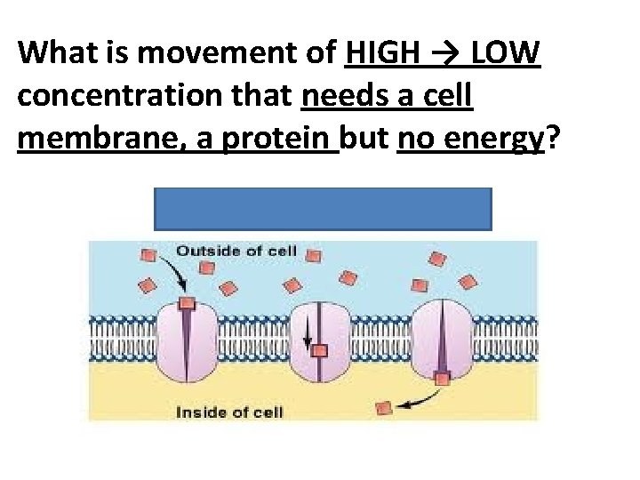 What is movement of HIGH → LOW concentration that needs a cell membrane, a