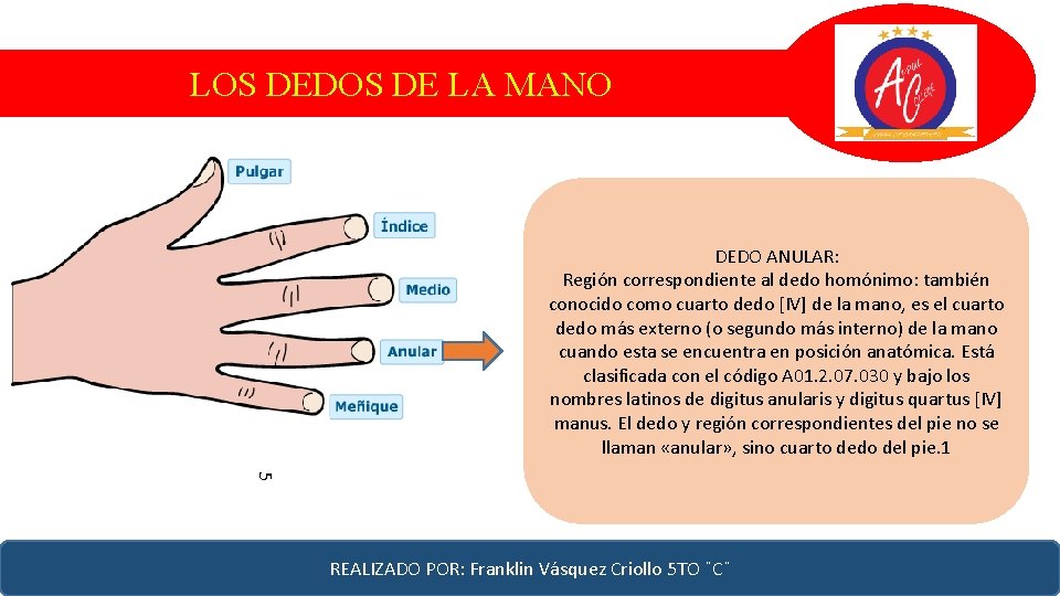 LOS DEDOS DE LA MANO 555 DEDO ANULAR: Región correspondiente al dedo homónimo: también