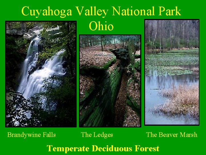 Cuyahoga Valley National Park Ohio Brandywine Falls The Ledges The Beaver Marsh Temperate Deciduous