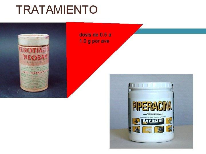 TRATAMIENTO dosis de 0. 5 a 1. 0 g por ave 