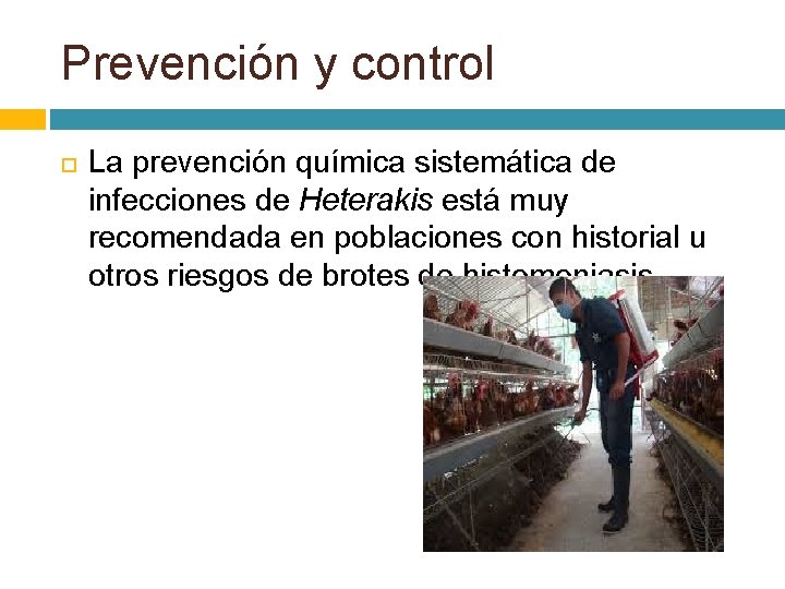 Prevención y control La prevención química sistemática de infecciones de Heterakis está muy recomendada