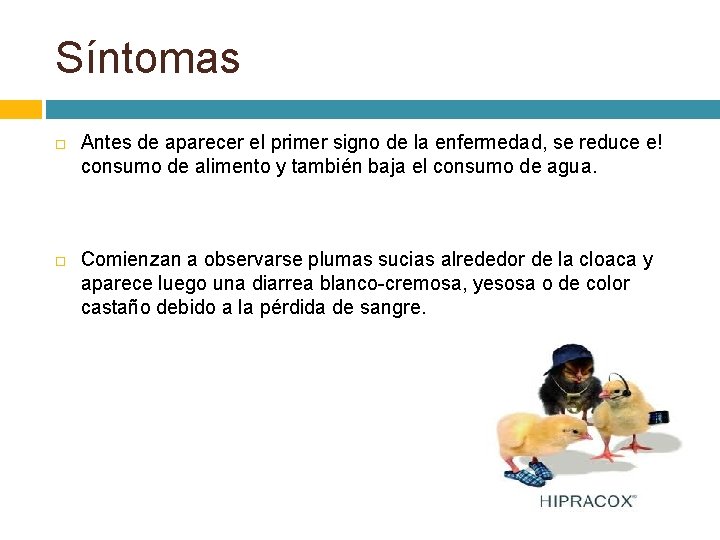 Síntomas Antes de aparecer el primer signo de la enfermedad, se reduce e! consumo