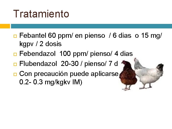 Tratamiento Febantel 60 ppm/ en pienso / 6 dias o 15 mg/ kgpv /