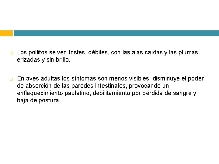  Los pollitos se ven tristes, débiles, con las alas caídas y las plumas