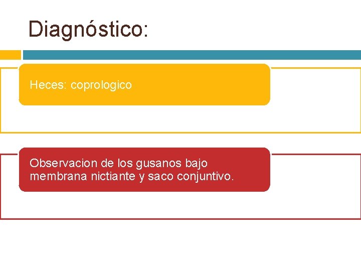 Diagnóstico: Heces: coprologico Observacion de los gusanos bajo membrana nictiante y saco conjuntivo. 